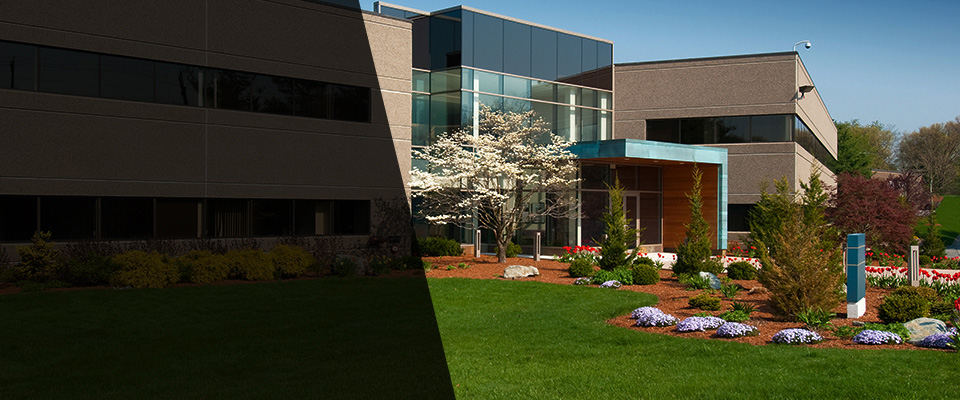 Beresford Landscapers