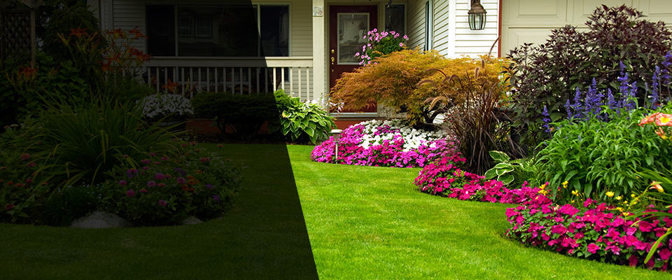 Beresford Landscapers