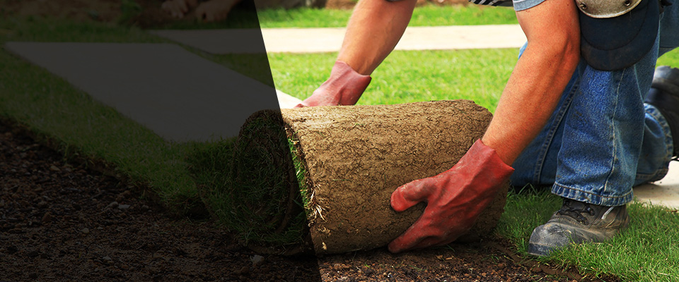 Beresford Landscapers